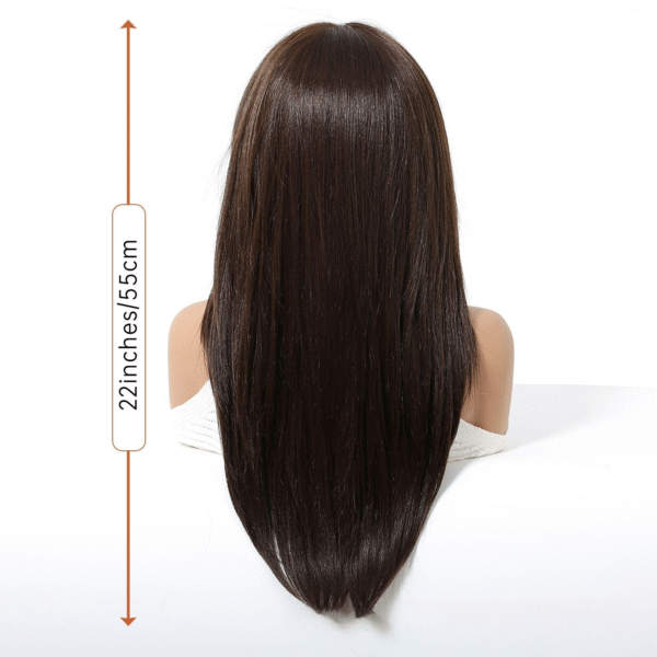 Zeus Wig | 13*6 New Large Lace Wig with Center Parting, Long Straight Hair, Brown Gradient Color