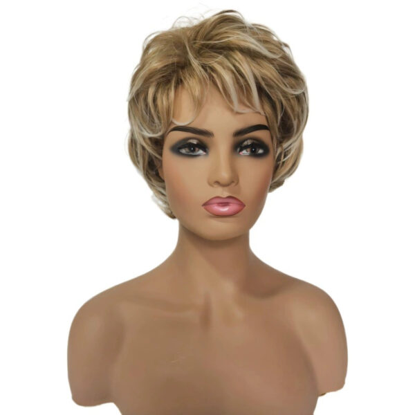 Zeus Wig|Golden Gradient Granny Wig Small Curls - 图片 4