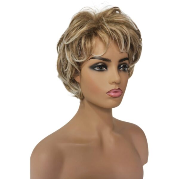 Zeus Wig|Golden Gradient Granny Wig Small Curls - 图片 2