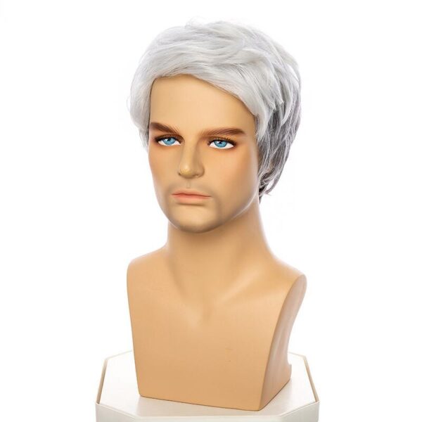 Zeus wig | Men's middle-aged and elderly gray parted wig short high temperature silk chemical fiber - 图片 4