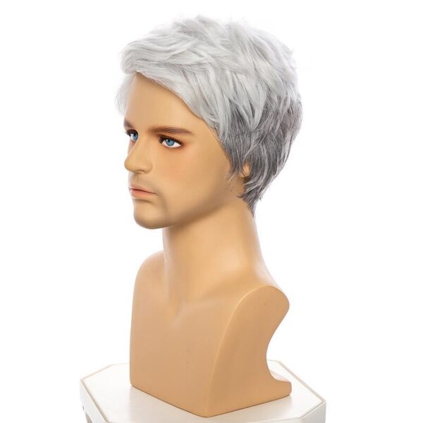 Zeus wig | Men's middle-aged and elderly gray parted wig short high temperature silk chemical fiber - 图片 2