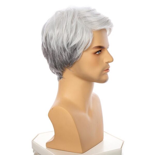 Zeus wig | Men's middle-aged and elderly gray parted wig short high temperature silk chemical fiber - 图片 3